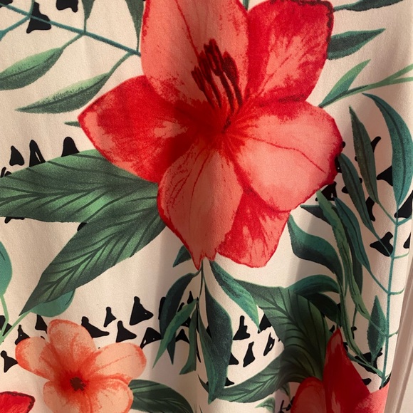 Lularoe Jessie swing dress - Picture 4 of 5